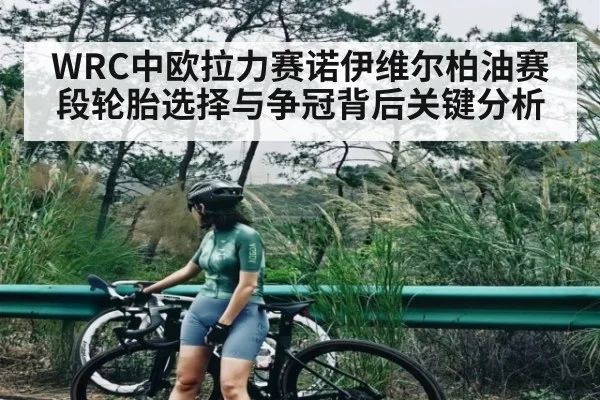 WRC中欧拉力赛诺伊维尔柏油赛段轮胎选择与争冠背后关键分析